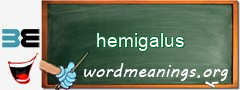 WordMeaning blackboard for hemigalus